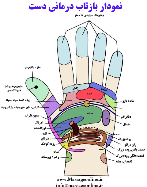 تصویر نقاط حساس کف دست,عکس نقاط حساس بدن,ماساژ,نقاط حساس کف دست,نقاط حساس,ماساژ بازتاب درمانی کف دست,اموزش ماساژ نقاط حساس کف دست